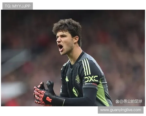 费迪南德称赞拉门斯门将表现提升后防稳定性球队受益明显